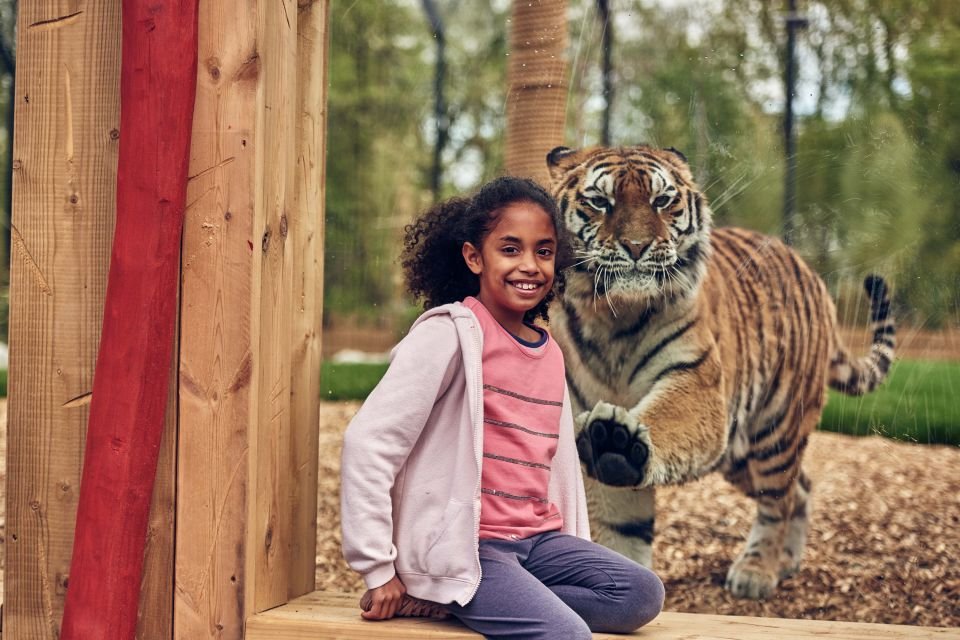 Chessington World of Adventures Билеты на 2026 год