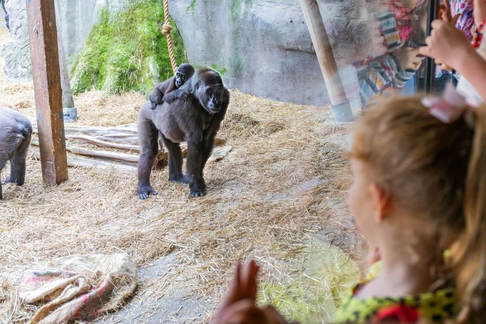 Chessington World of Adventures Билеты на 2026 год