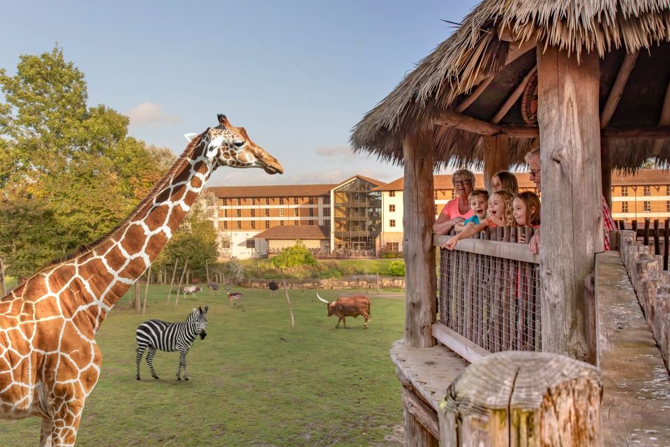 Chessington World of Adventures Билеты на 2026 год