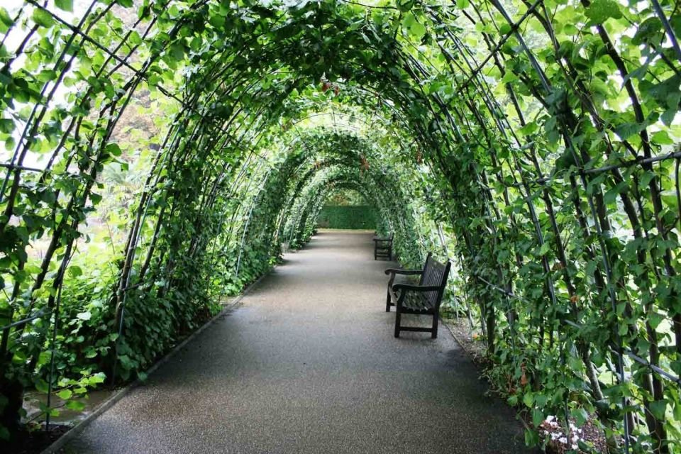 Kensington Palace Tour 2026