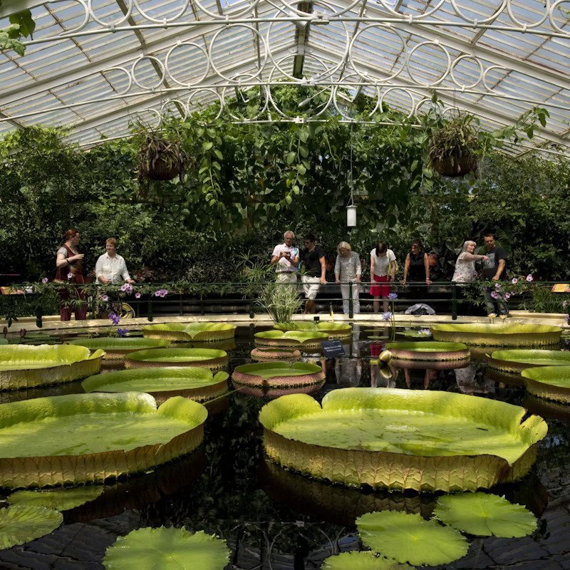 Kew Gardens Εισιτήρια 2026